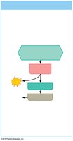 Anaerobic pathway for ATP regeneration