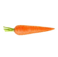 Carrot as a source of carotene