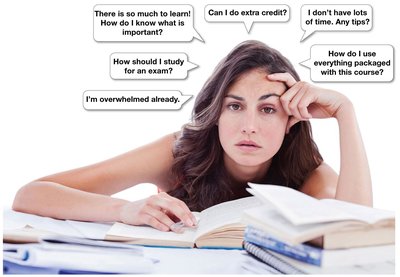 Student overwhelmed with study questions