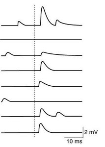 Quantal analysis multiples