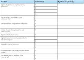 Hormone function and gland table