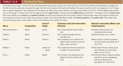 Table of the brachial plexus nerves and their innervation