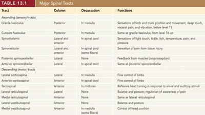 Table of major spinal tracts