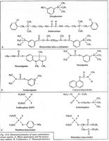 Structures of cholinesterase inhibitors