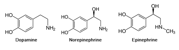 Structures of dopamine, norepinephrine, and epinephrine