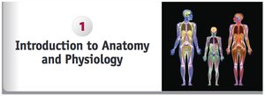 Introduction to Anatomy and Physiology chapter title and human body illustration
