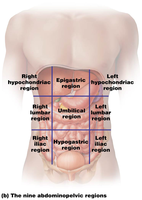 Nine abdominopelvic regions