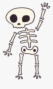 Classification of Bones by Shape