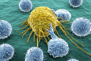 Lymphocytes attacking a foreign cell