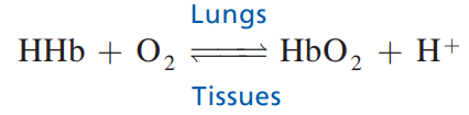 Hemoglobin oxygen binding equation