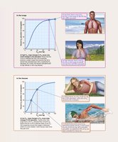 Oxygen-hemoglobin dissociation curve