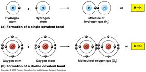 Examples of covalent bonds