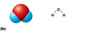 Polar covalent bonds in water