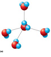 Hydrogen bonding between polar water molecules