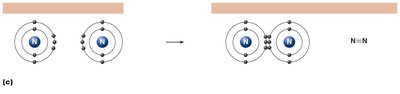 Formation of a triple covalent bond (N2)
