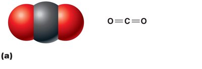 Nonpolar molecule: carbon dioxide