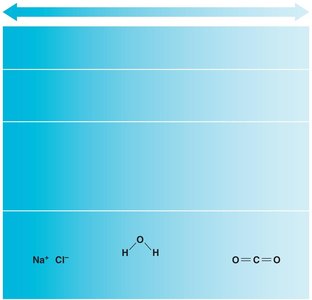 Comparison of ionic, polar covalent, and nonpolar covalent bonds