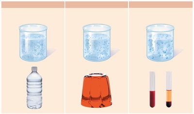 Types of mixtures: solution, colloid, suspension