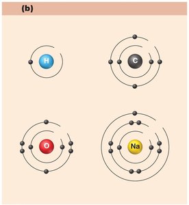 Electron shells of reactive elements