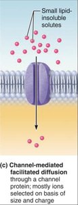 Channel-mediated facilitated diffusion