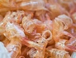 Chitin in shrimp shells