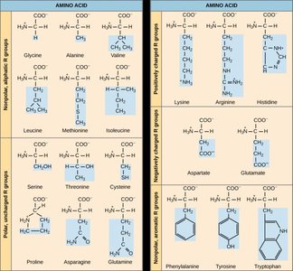 Quaternary structure of hemoglobin