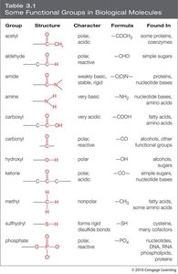 Table of functional groups in biological molecules