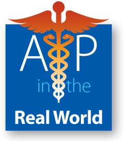 The big picture of skeletal muscle structure