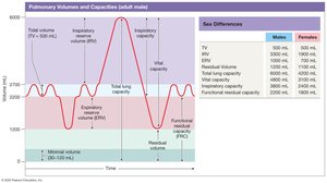 Pulmonary volumes and capacities