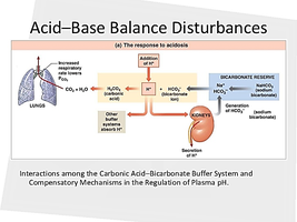 Acid-Base Balance Disturbances diagram