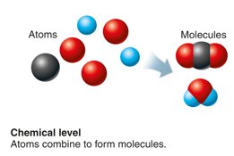 Chemical level: atoms and molecules