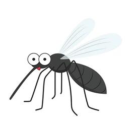 Innate immune system cartoon