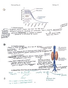 Blood pressure changes throughout the circulatory system