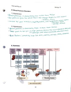 Summary of blood pressure regulation and disorders