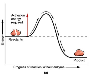 Activation energy without enzyme