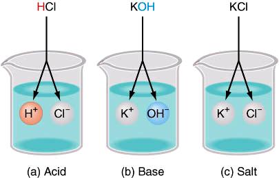 Acid, base, and salt in beakers