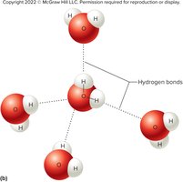 Hydrogen bonds between water molecules