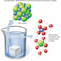 Dissociation of sodium chloride in water