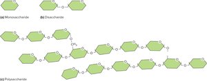 Monosaccharide, disaccharide, and polysaccharide structures