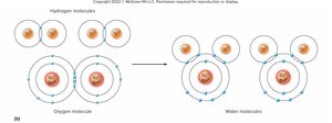 Formation of water molecules by covalent bonds