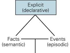 Diagram of explicit memory: facts (semantic) and events (episodic)