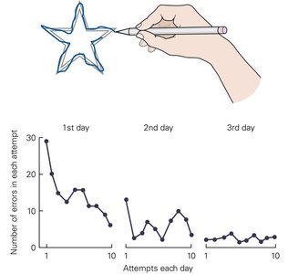 Performance improvement in mirror drawing task