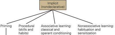 Diagram of implicit memory types