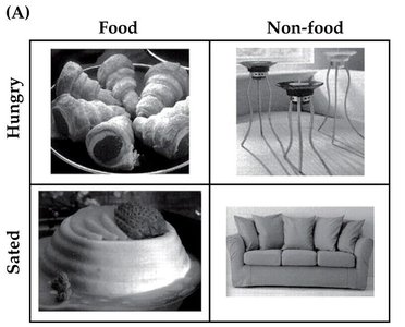 Food and non-food images for memory test