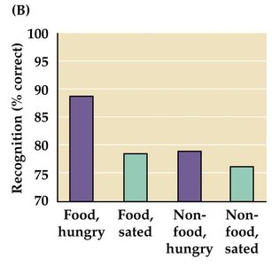 Recognition accuracy for food and non-food images