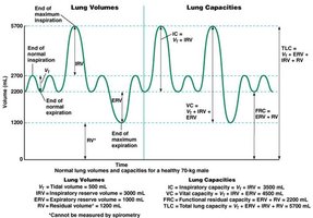 Graph of lung volumes and capacities, including tidal volume, inspiratory and expiratory reserve volumes, and total lung capacity