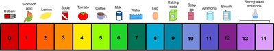 pH scale with common substances