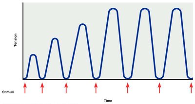 Treppe: the staircase effect