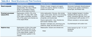 Table of renal structures and their functions