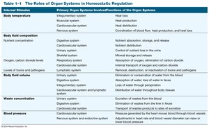 Table of organ systems in homeostatic regulation